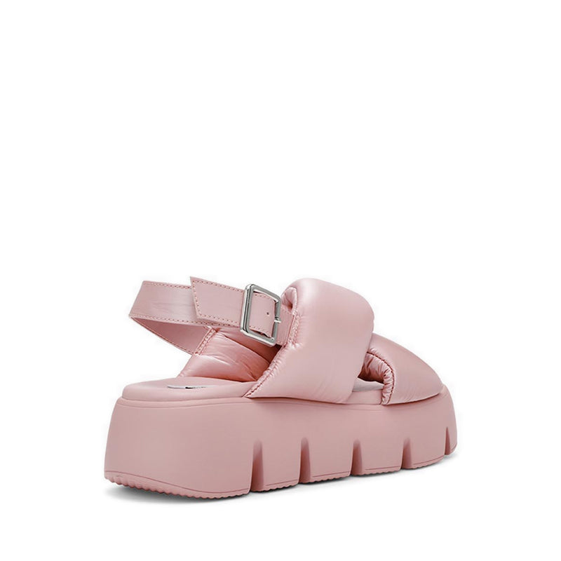 BACKTRACK MAUVE