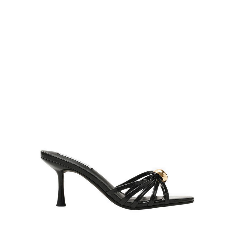 RAMIREZ BLACK LIZARD