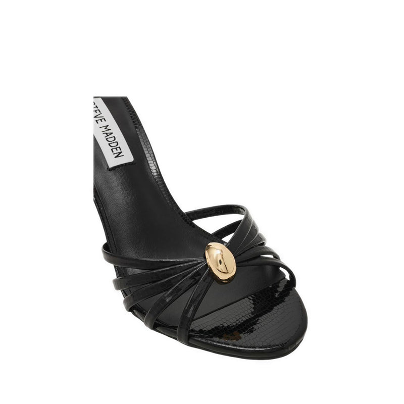RAMIREZ BLACK LIZARD - view 5