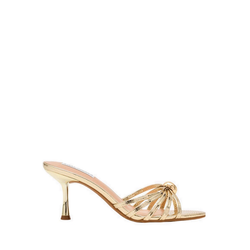 RAMIREZ GOLD LIZ