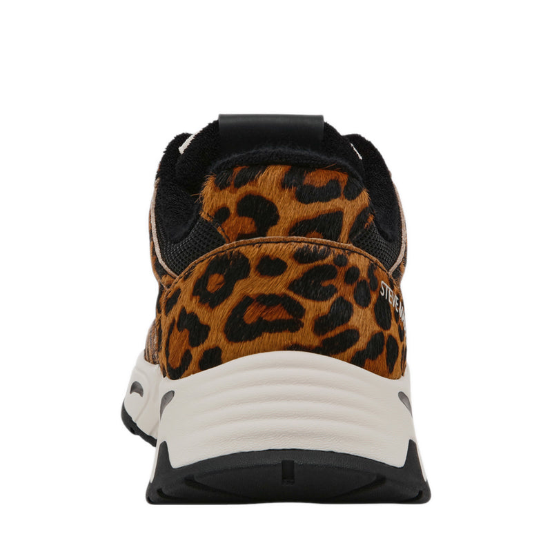 SNEAK-PEAK-L LEOPARD