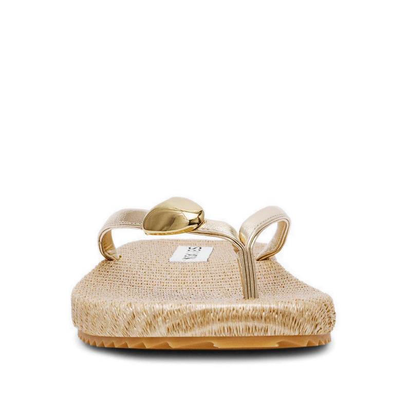 SURFUP GOLD - view 3