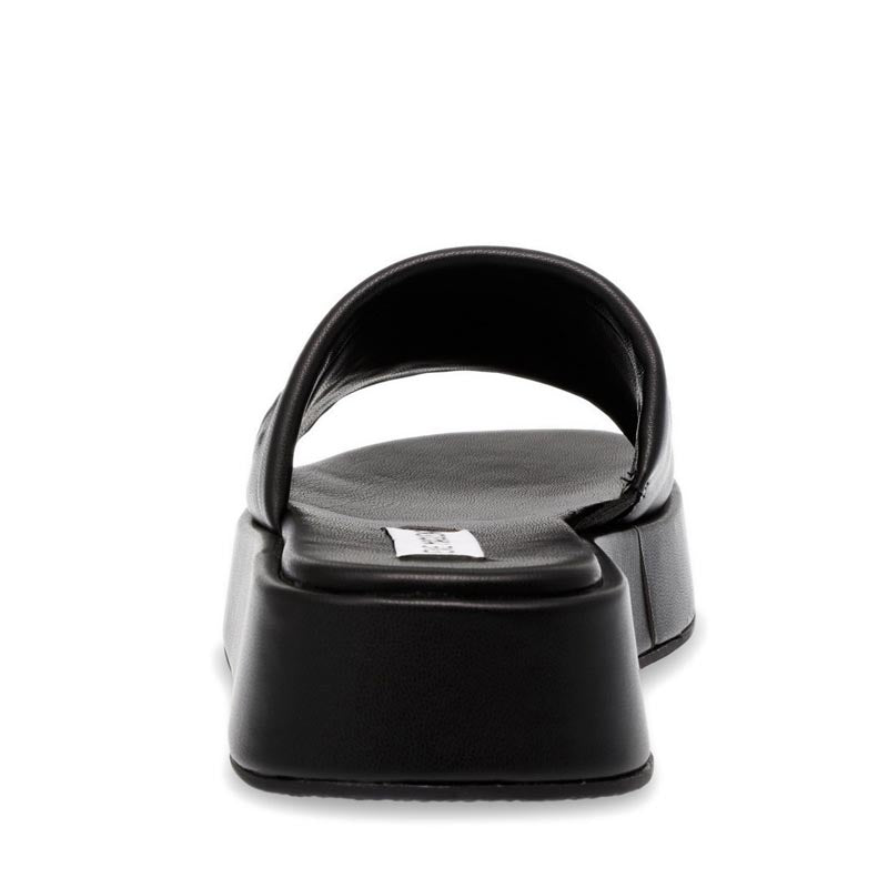 BEWILD BLACK - view 6