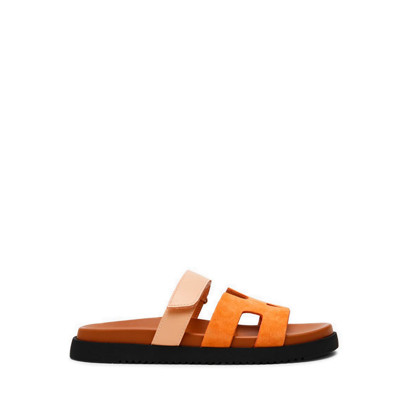 MAYVEN-CN ORANGE MULTI