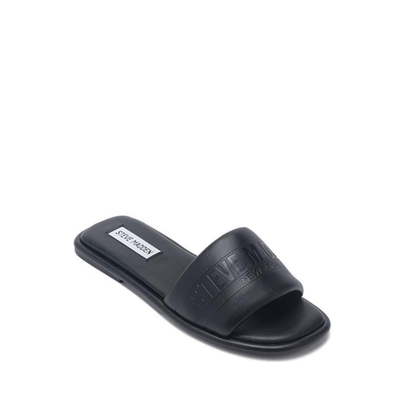 NOTABLE BLACK - view 2